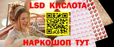 прущие грибы Донской