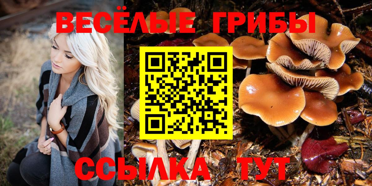 Псилоцибиновые грибы прущие грибы  Галлюциногенные грибы ЛСД  Вход с VPN  Канск 